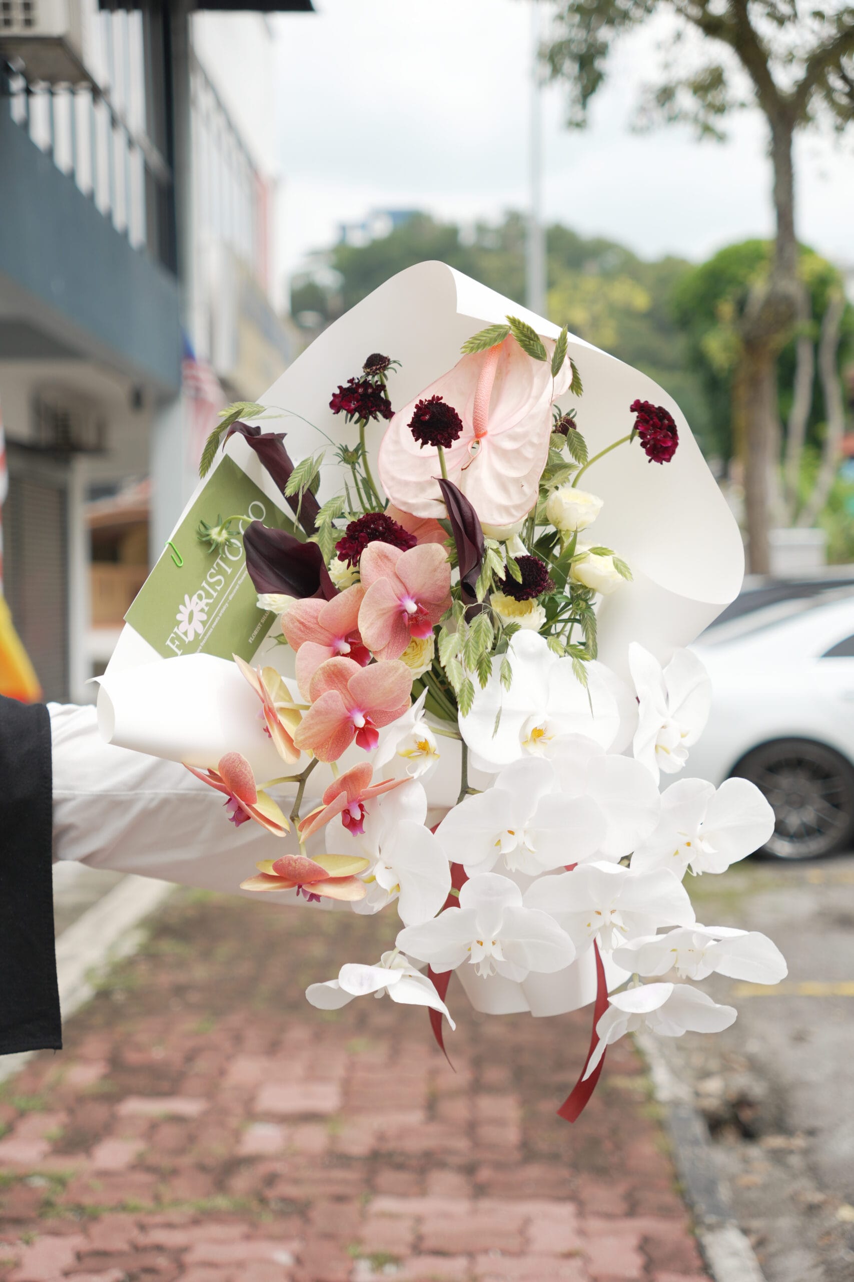 Orchid Artistry
