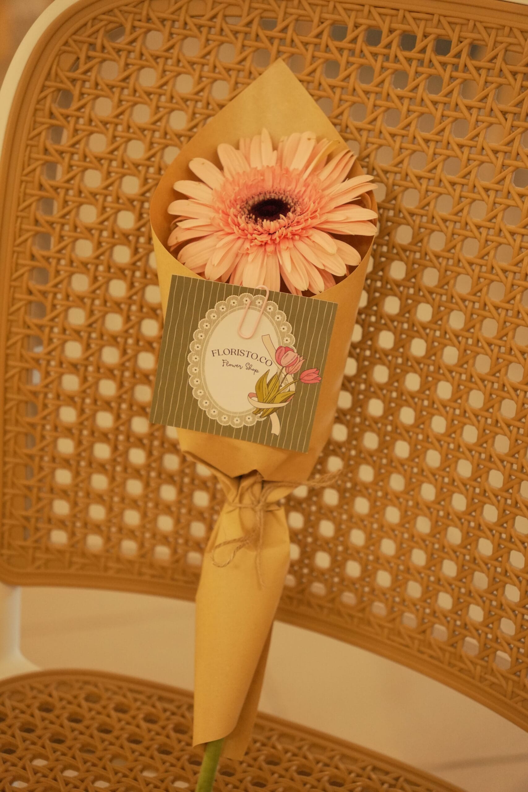 Single Daisy