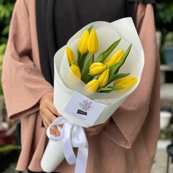 Tulip Bliss