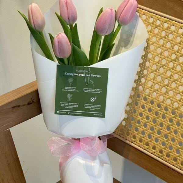 Tulip Whisper