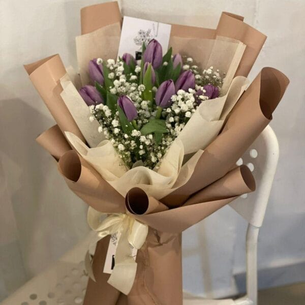 Tulip Promise