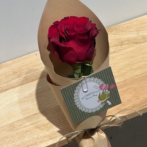 Single Rose