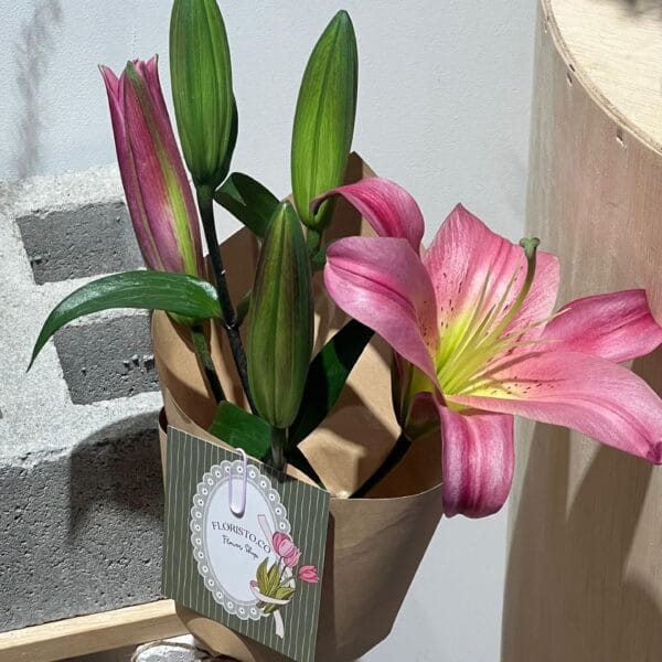 Single Lily